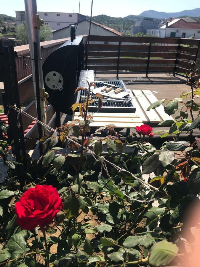 Sara'S Villa Shkodër Dış mekan fotoğraf